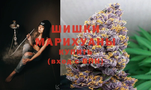 Альфа ПВП Мегион