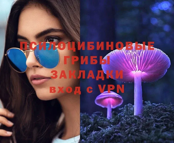 Псилоцибиновые грибы Magic Shrooms  Добрянка 