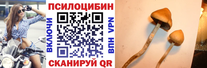 Галлюциногенные грибы GOLDEN TEACHER  ОМГ ОМГ как войти  площадка телеграм  Добрянка 