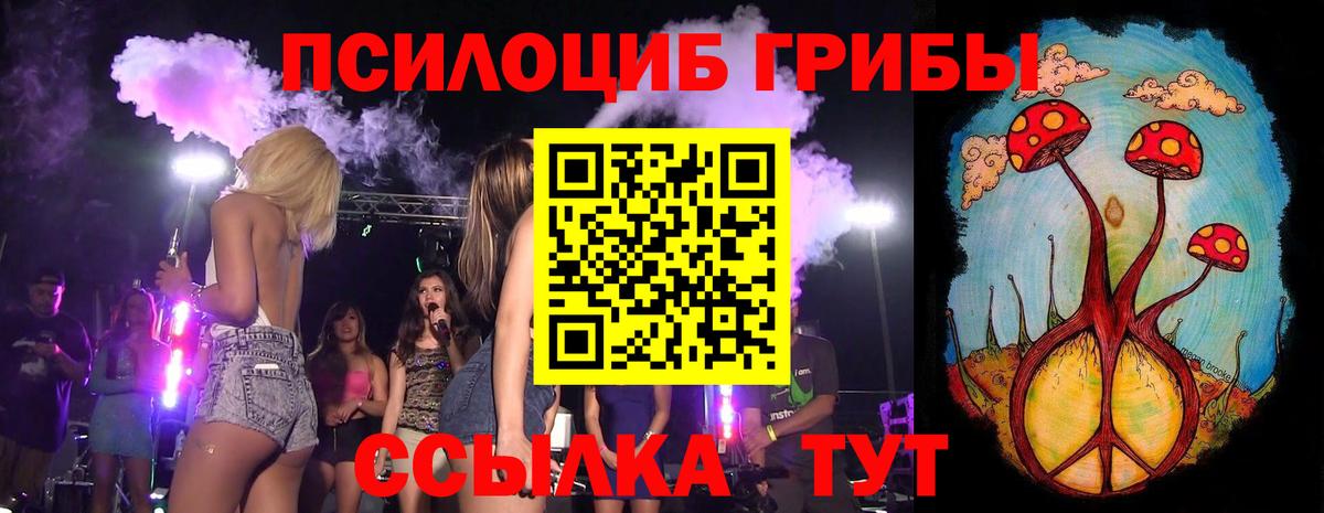 Псилоцибиновые грибы Psilocybe  Вход с VPN  Добрянка 