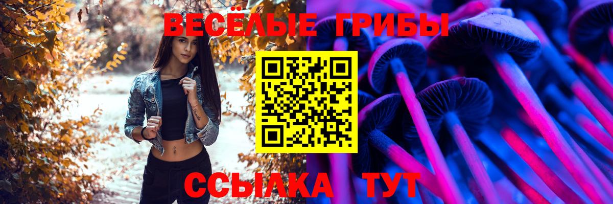 Галлюциногенные грибы Psilocybine cubensis Добрянка
