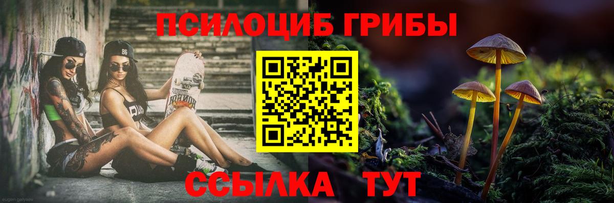 купить наркотик  Добрянка  Псилоцибиновые грибы мухоморы 