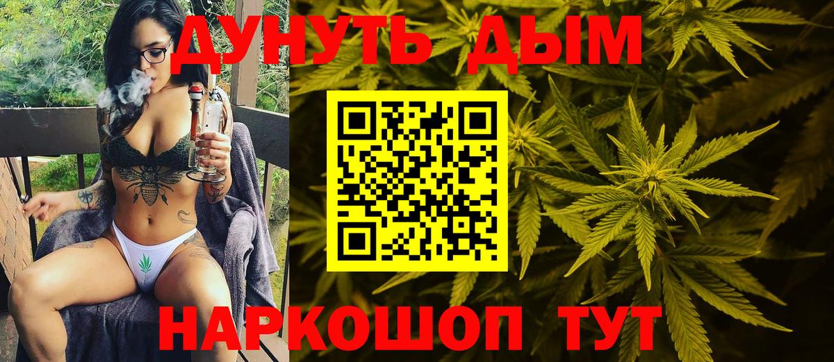 Конопля сатива Добрянка